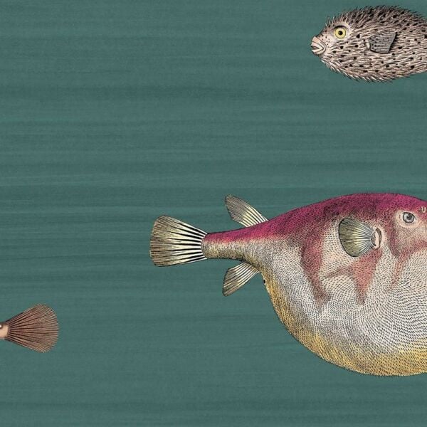 Acquario Balıklı Fornasetti Duvar Kağıdı