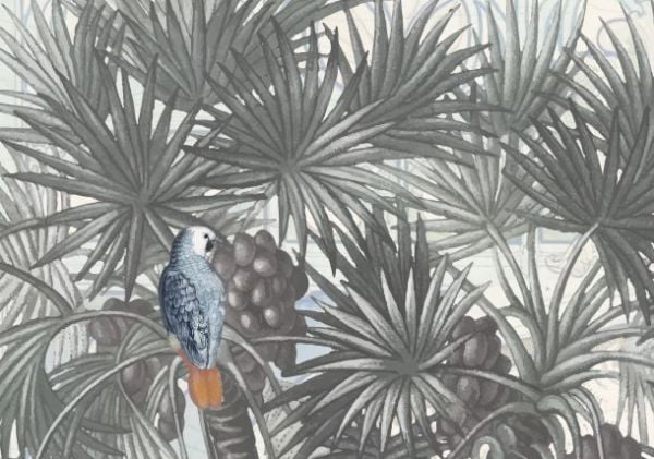 Tropik Ağaçlar Tavuskuşları Tasarım Duvar Kağıdı