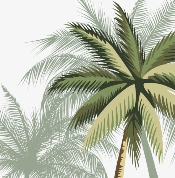 Tropik Palmiye Ağaçları Gölgeli Duvar Kağıdı