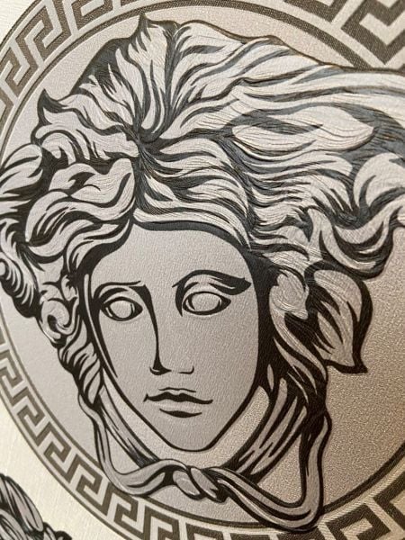Versace 5 Virtus Gri Medusa Desen Duvar Kağıdı