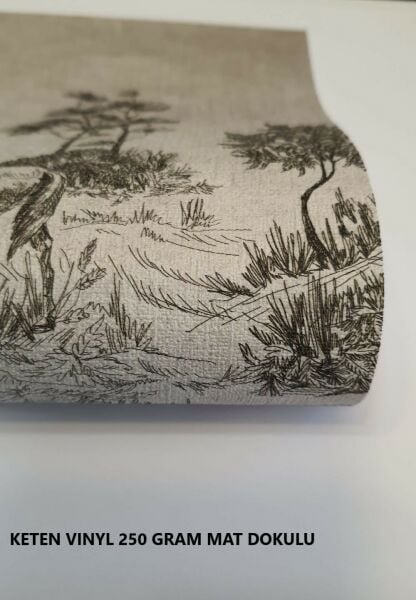 Uva Yıldızlar Ve Gökkuşağı Duvar Kağıdı