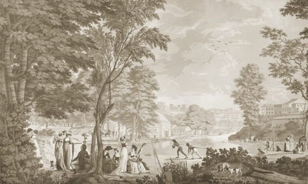 Sepya Renk Provance Duvar Kağıdı