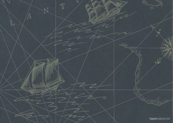 Ralph Lauren Shipping Lanes Map Duvar Kağıdı
