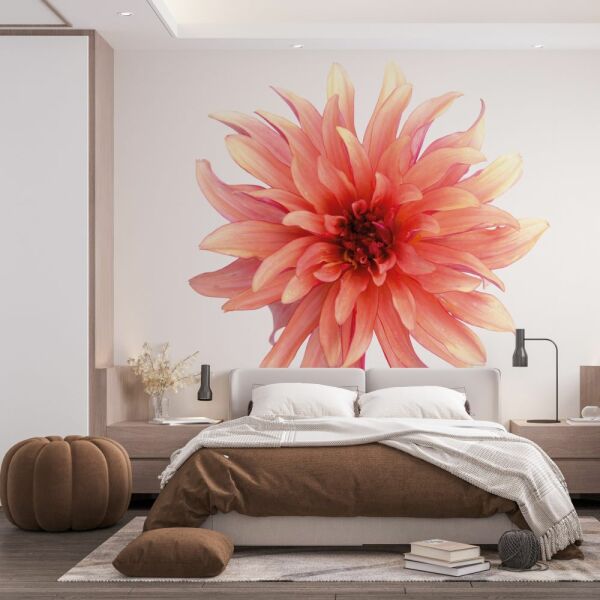 Single Flowers Pembe Çiçek Duvar Kağıdı