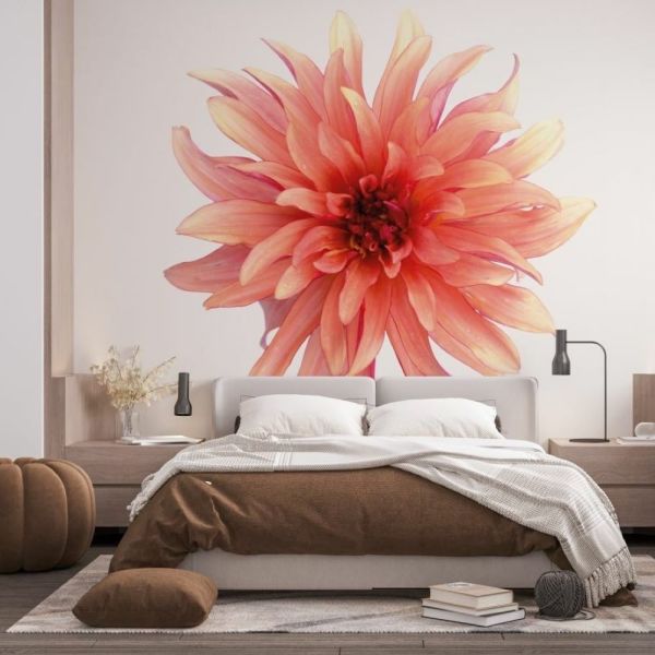 Single Flowers Pembe Çiçek Duvar Kağıdı