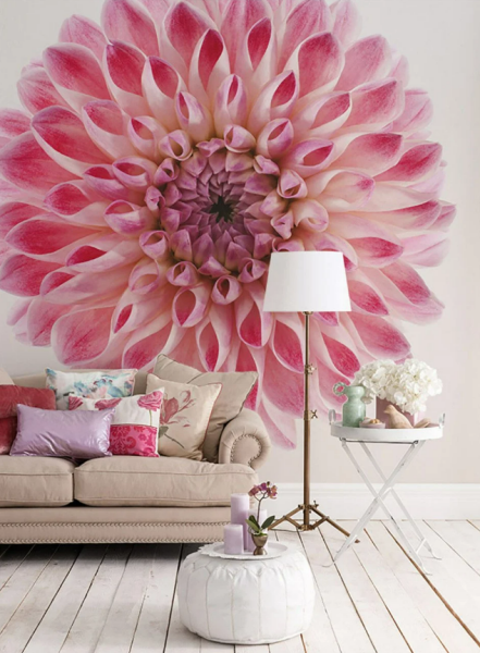 Pembe Fuşya Ortanca Tek Çiçek Duvar Kağıdı