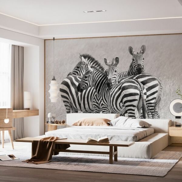 Uva Egzotik Hayvanlar Zebralar Duvar Kağıdı