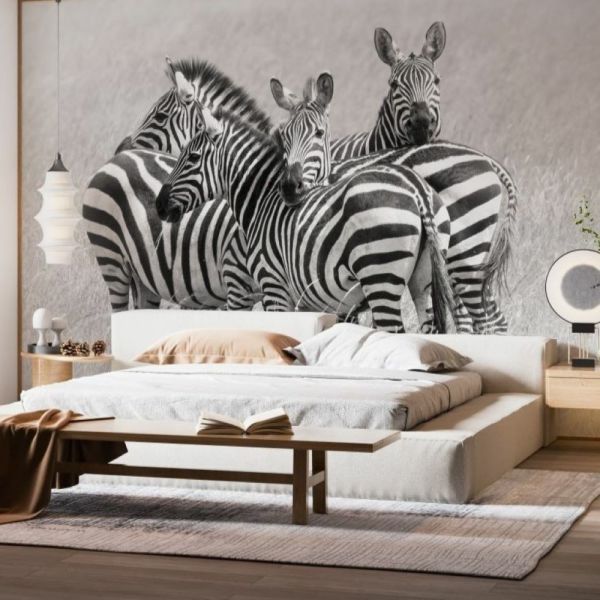 Uva Egzotik Hayvanlar Zebralar Duvar Kağıdı