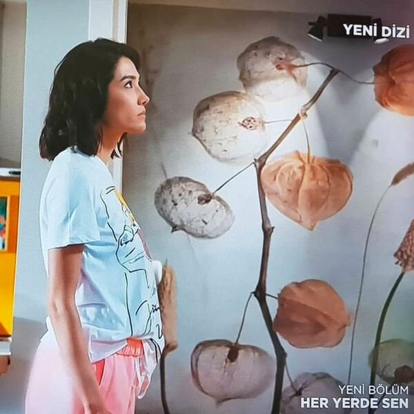 Heryerde Sen Dizi Selin (Aybüke Pusat)   Ve Demir (Furkan Andıç) Duvar Kağıdı
