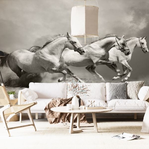 Beyaz Atlar Koşarken Duvar Kağıdı
