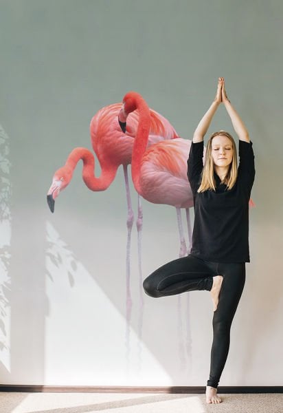 Pink Flamingos Duvar Kağıdı