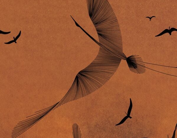 Kül Masalı Dizisi Özge Ve Arat Yatak Başı Duvar Kağıdı