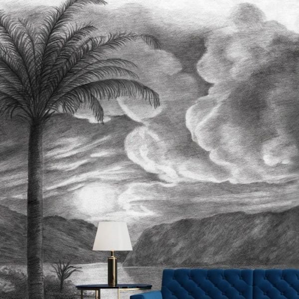 Uva Siyah Beyaz Fırtınalı Gece Duvar Kağıdı