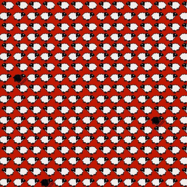 Enriquezland  Pecorelle Kırmızı Kuzular Duvar Kağıdı