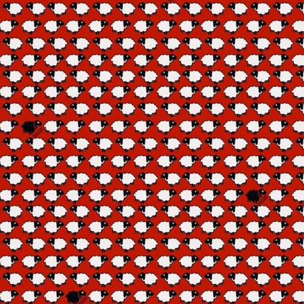 Enriquezland  Pecorelle Kırmızı Kuzular Duvar Kağıdı