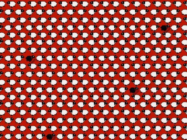 Enriquezland  Pecorelle Kırmızı Kuzular Duvar Kağıdı