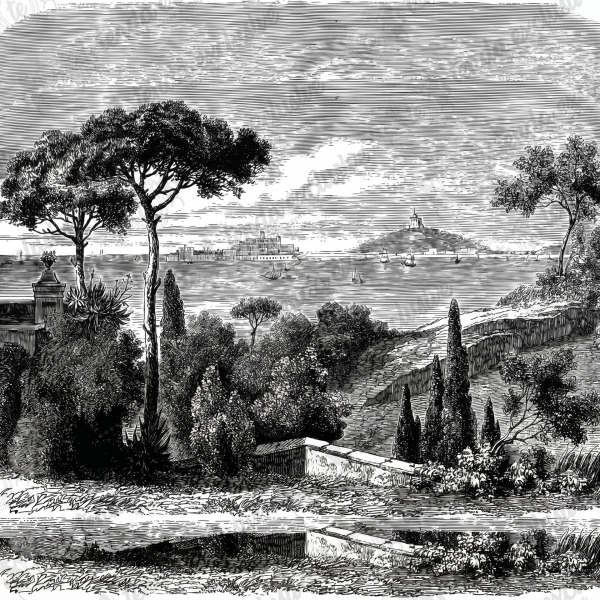 Uva Siyah Beyaz Orman Desen Duvar Kağıdı